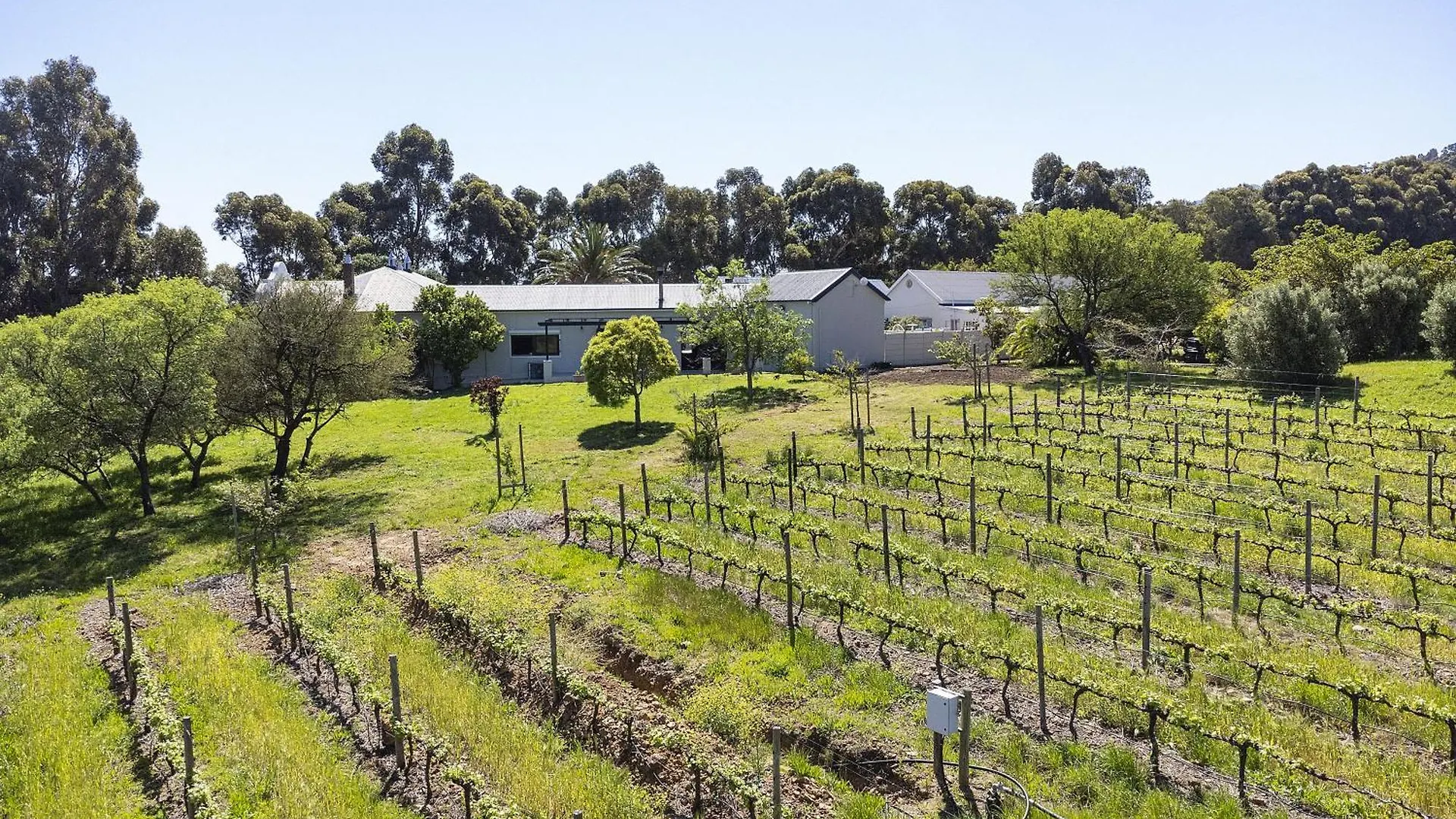 Villa 13 Vines Somerset West