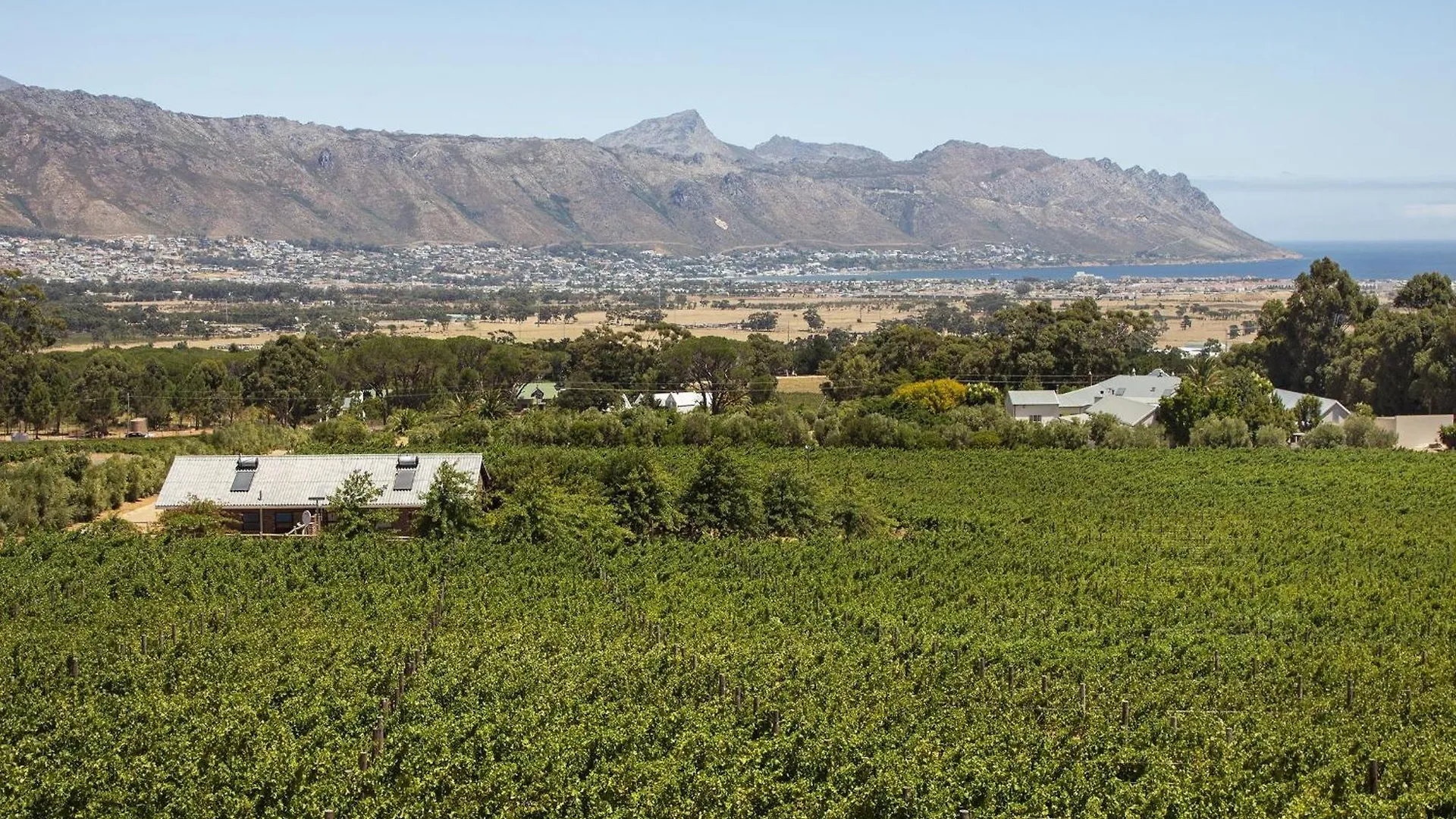 Vineyard Manor At 13 Vines By Hostagents Villa Somerset West